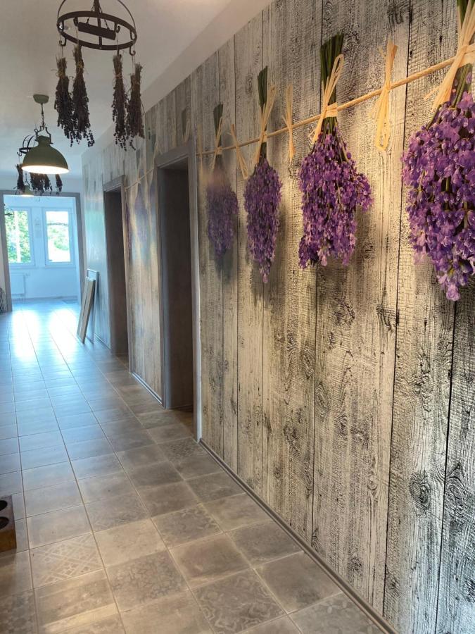 La Maison Pritzwalk - Bett & Bike Luaran gambar